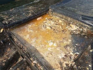grease trap cleaning in NJ