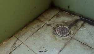 drain on floor surrounded by dirt